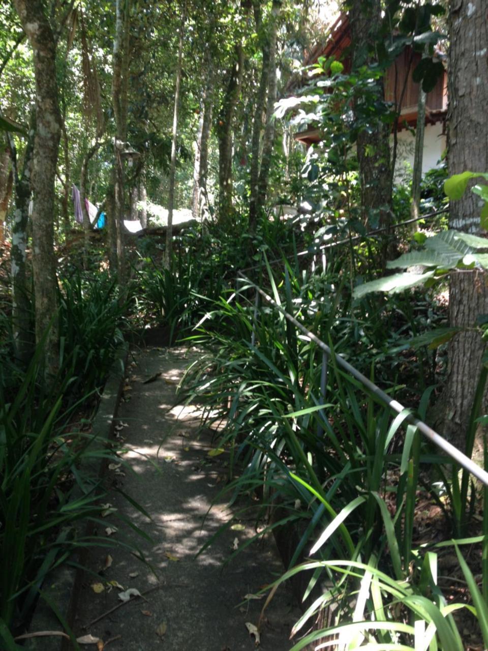 Entre Arvores Refugio Lumiar Exterior photo